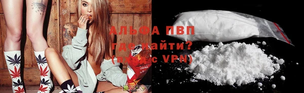 молекула духа Козловка