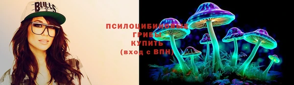 молекула духа Козловка